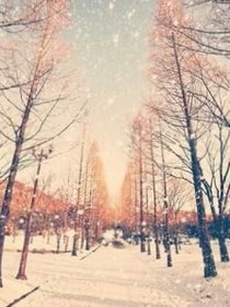 誰(shuí)把三年讀成傷？