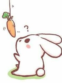 萝卜的幸福生活