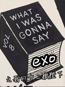 exo之我的狼陛下