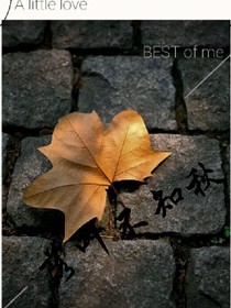 叶落不知秋