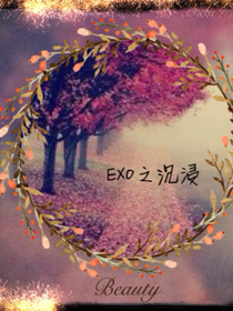 EXO之沉浸