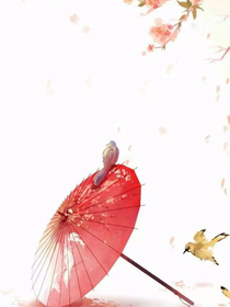 花开为君倾
