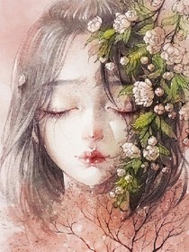 泪点情感文
