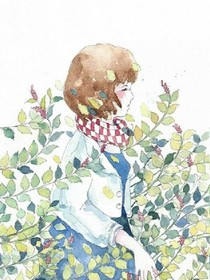 箬沐