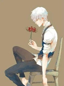 混合短篇小說
