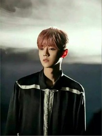 鹿总裁的爱