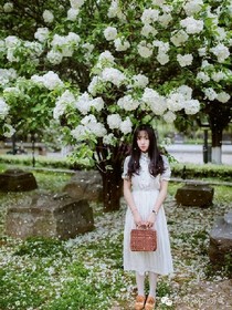 如花似火青春