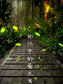 记忆中的萤火虫