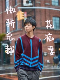 傲娇总裁花痴妻