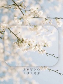 梦幻之梦