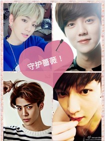 EXO之蔷薇的守护