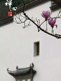 禪心