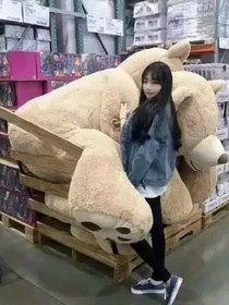 异次元世纪：前世今生的诅咒