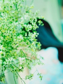 花房姑娘