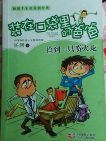 捡到一只喷火龙