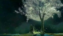 樱花树下的情缘
