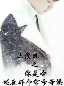 你是否还在那个雪季等候