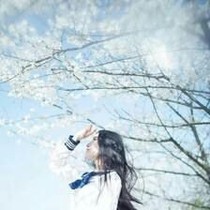青春底板上开过玉兰花