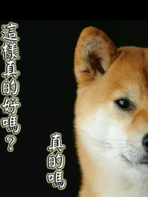 我的無尾熊男友