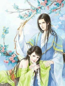倾城傻王妃