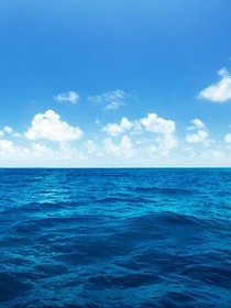 路过深海里的你