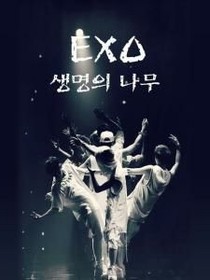 EXO猫之迷送