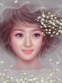 南槿花