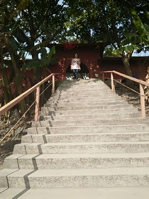 木子传