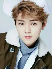 EXO之鹿晗放手