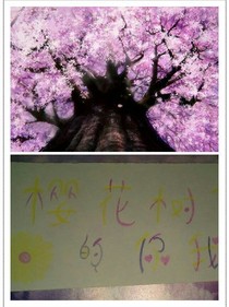 TFBOYS櫻花樹(shù)下的你我