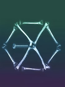 EXO：论女配的自我修养