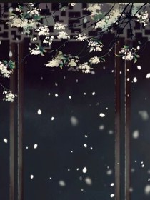 我在梨花树下等你