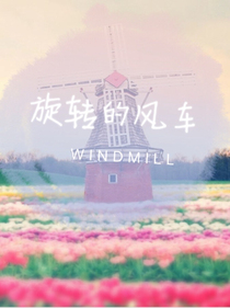 旋转的风车