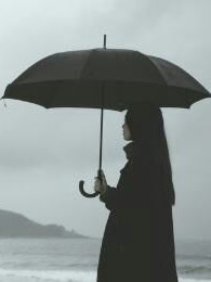 校草爱情