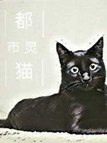 都市灵猫