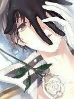 倾世美男