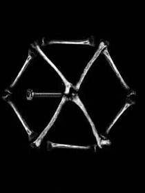 EXO之我到底爱谁？