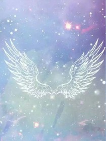 十二星光