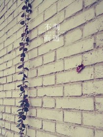 我和李磊的故事