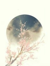 傾城瞬間花滑落
