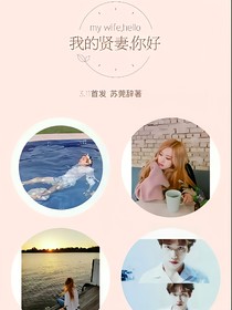 我的贤妻，你好