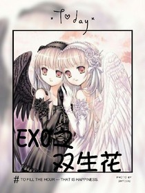 雙生花（EXO）
