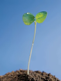 关怀