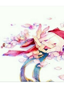 紀(jì)少爺