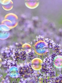 幻梦传说