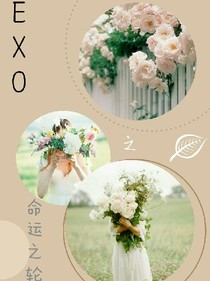 EXO之命运之轮