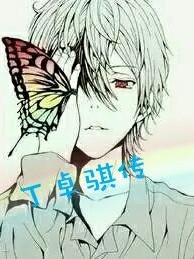 丁卓骐传