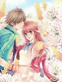 青檸之季