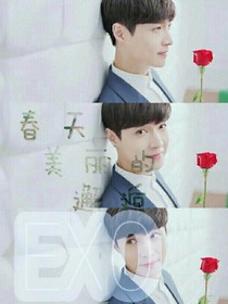 （EXO）春天美麗的邂逅