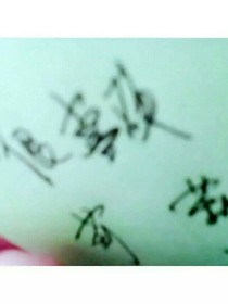 不轻易Aini